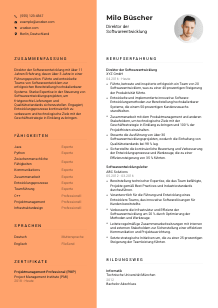 Lebenslauf-Vorlage für Direktor*in Softwareentwicklung #3