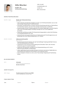 Lebenslauf-Vorlage für Direktor*in Softwareentwicklung #1