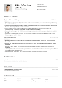 Lebenslauf-Vorlage für Direktor*in Softwareentwicklung #2