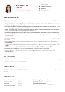 Lebenslauf-Vorlage für Softwareprojektmanager*in #1