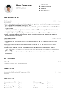 Lebenslauf-Muster für CRM-Entwickler*in