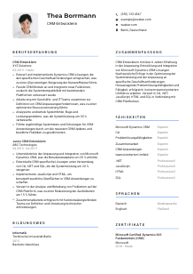 Lebenslauf-Vorlage für CRM-Entwickler*in #2