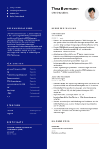 Lebenslauf-Vorlage für CRM-Entwickler*in #3