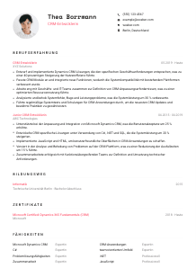 Lebenslauf-Vorlage für CRM-Entwickler*in #1