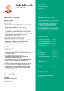 Lebenslauf-Vorlage für Software-Analyst*in #2