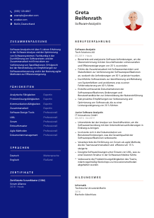 Lebenslauf-Vorlage für Software-Analyst*in #3
