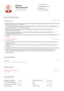 Lebenslauf-Vorlage für Software-Analyst*in #1