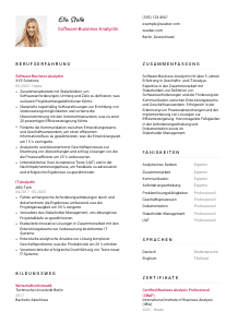 Lebenslauf-Vorlage für Software-Business-Analyst*in #2