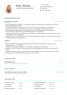 Lebenslauf-Vorlage für Software-Business-Analyst*in #3