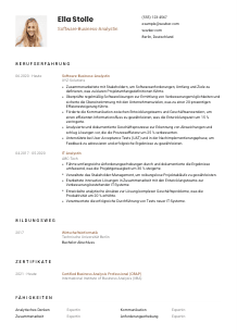 Lebenslauf-Vorlage für Software-Business-Analyst*in #1
