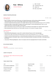 Lebenslauf-Vorlage für Software-Berater*in #1