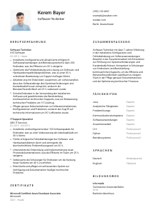 Lebenslauf-Vorlage für Software-Techniker*in #1
