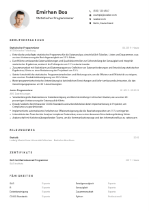 Lebenslauf-Muster für Statistische*r Programmierer*in