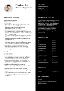 Lebenslauf-Vorlage für Statistische*r Programmierer*in #3