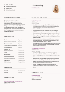 Lebenslauf-Vorlage für Eventplaner*in #3