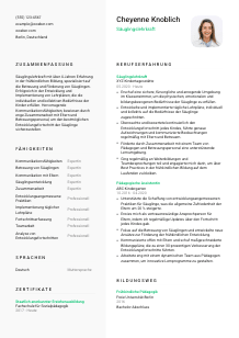 Lebenslauf-Vorlage für Säuglingslehrkraft #2