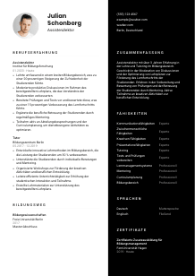 Lebenslauf-Vorlage für Assistenzlektor*in #3