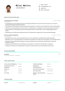 Lebenslauf-Vorlage für Juniorprofessor*in #3