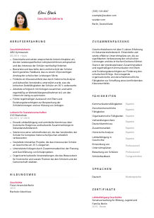 Lebenslauf-Vorlage für Geschichtslehrkraft #2