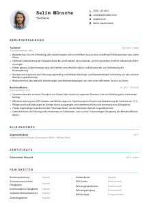 Lebenslauf-Vorlage für Taxifahrer*in #3