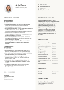 Lebenslauf-Vorlage für Verkehrsmanager*in #2