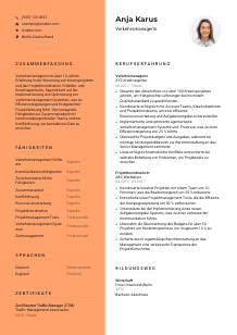 Lebenslauf-Vorlage für Verkehrsmanager*in #3