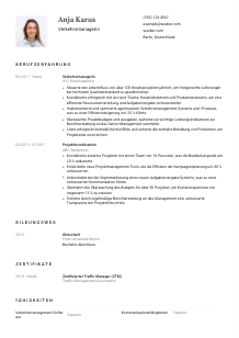 Lebenslauf-Vorlage für Verkehrsmanager*in #1