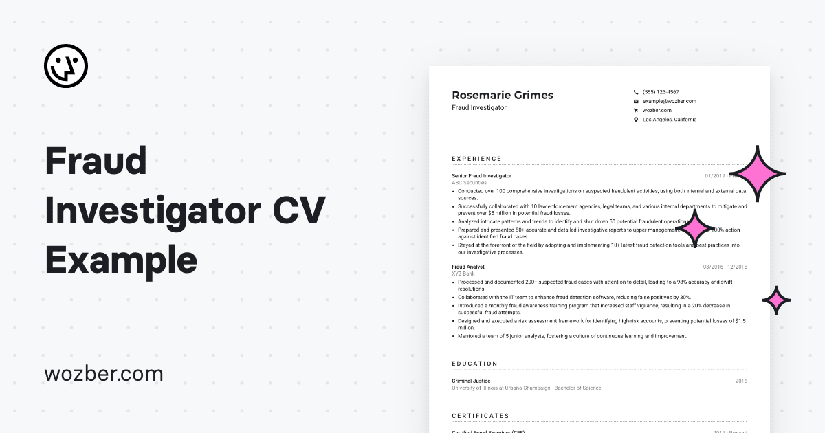 Fraud Investigator CV Example