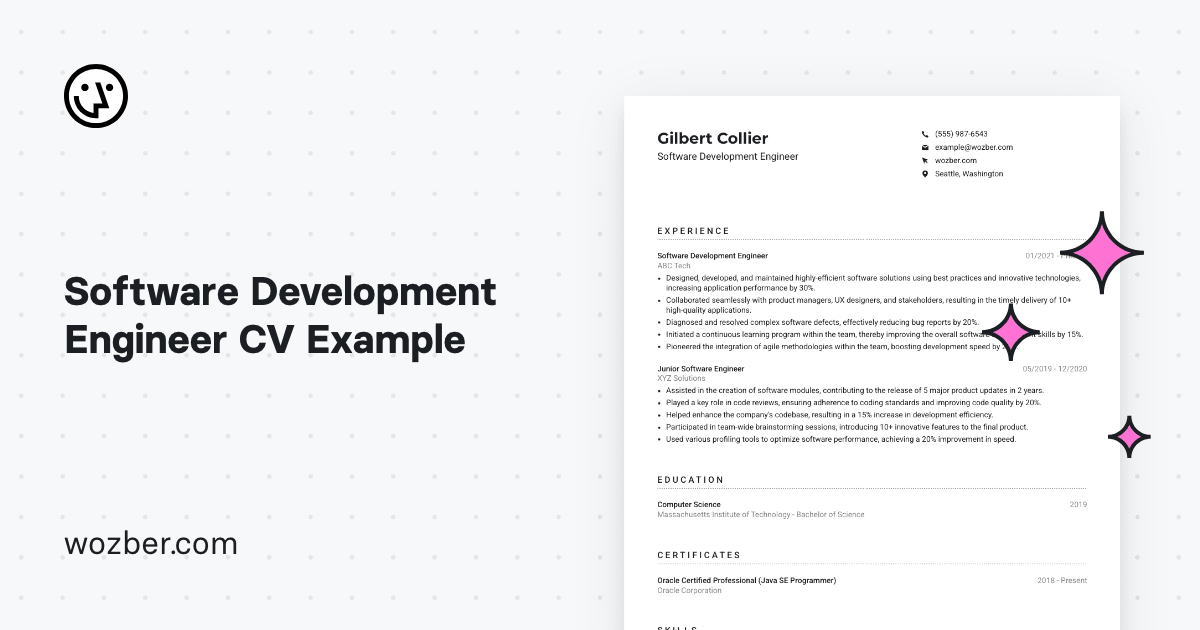 Software Development Engineer CV Example