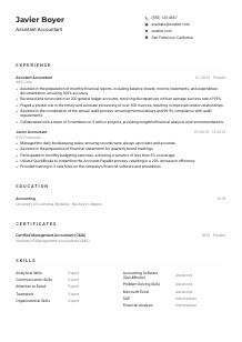 Assistant Accountant CV Example
