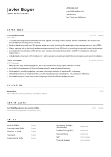 Assistant Accountant CV Template #2