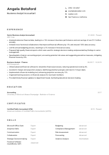 Business Analyst Accountant Resume Example
