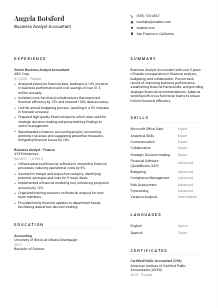 Business Analyst Accountant Resume Template #7