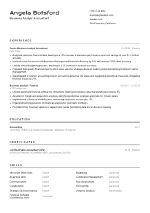 Business Analyst Accountant Resume Template #9