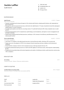 Audit Director Resume Example