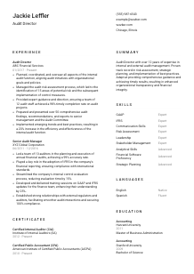 Audit Director Resume Template #1