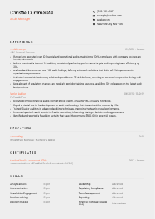 Audit Manager CV Template #23