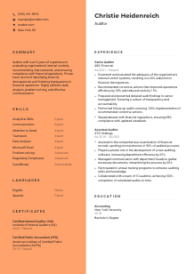 Auditor Resume Template #19