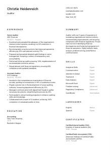 Auditor Resume Template #2