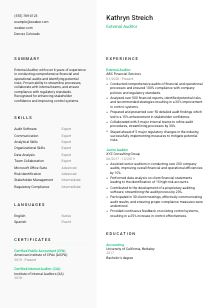 External Auditor Resume Template #14