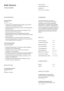 Financial Auditor Resume Template #5