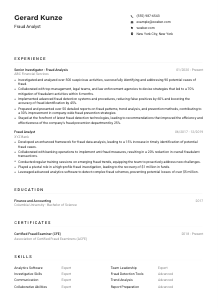Fraud Analyst CV Example
