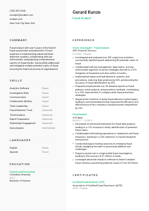 Fraud Analyst Resume Template #2