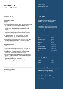 Internal Audit Manager CV Template #15