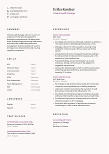 Internal Audit Manager Resume Template #20