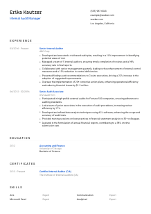 Internal Audit Manager CV Template #8