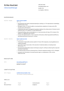 Internal Audit Manager Resume Template #8