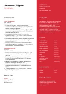 Internal Auditor CV Template #22