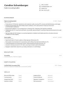 Public Accounting Auditor CV Example