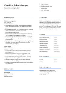 Public Accounting Auditor Resume Template #2